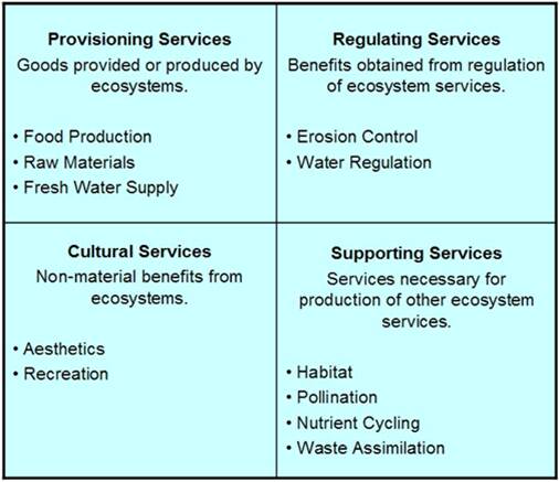 Four ecosystem services divisions: provisioning (food production, raw materials, water supply), regulating (erosion control, water regulation), cultural (aesthetics, recreation), & supporting (habitat, pollination, nutrient cycling, waste assimilation).